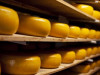 „Latvijas Piens” uzsācis siera eksportu uz Skandināviju