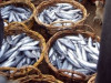 ZM: vairāki Latvijas ražotāji uz Ķīnu varēs eksportēt zivju produktus
