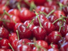 Kamčatkas muitas aptur ES augļu importu