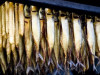 Krievija aizliedz zivju produktu importu no četriem Latvijas uzņēmumiem