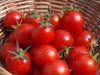 Krievija iznīcina 20 tonnas Čehijas tomātus