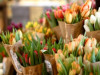 Krievija nosaka stingrāku kontroli ziedu importam no Nīderlandes
